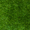 Roof Flooring: <br/>Artificial Grass